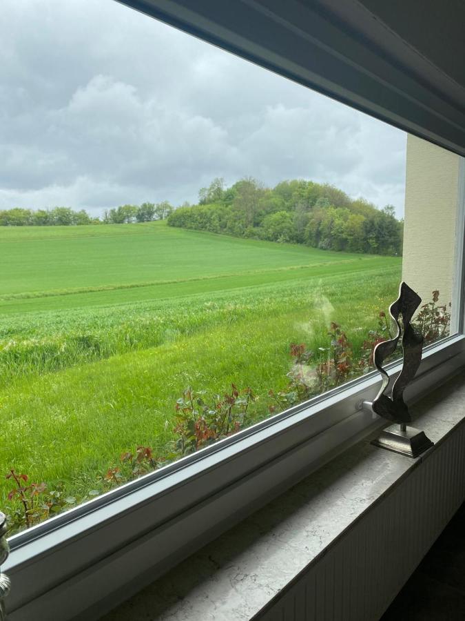 Ferienwohnung Haus Abrioux Zur Falkenlay Bad Bertrich Exterior foto